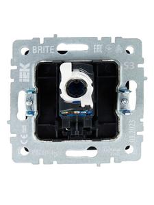 Розетка компьютерная СП RJ45 кат.5E BRITE РК10-БрГ механизм графит IEK BR-K10-1-K53