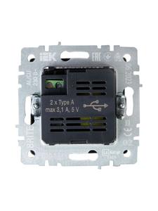 Розетка BRITE USB A+A 3.1А РЮ10-1-БрЧ механизм черн. IEK BR-U21-D31-K02