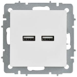 Розетка BRITE РЮ10-1-БрАБ USB A+A 3.1А механизм арктич. бел. IEK BR-U21-D31-K91