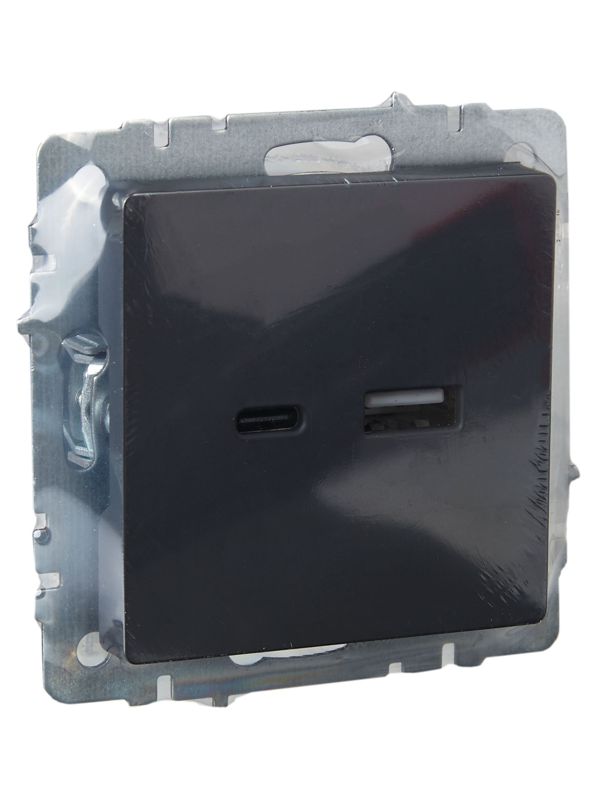 Розетка BRITE USB A+C 18Вт РЮ11-1-БрГ механизм графит IEK BR-U22-018-K53