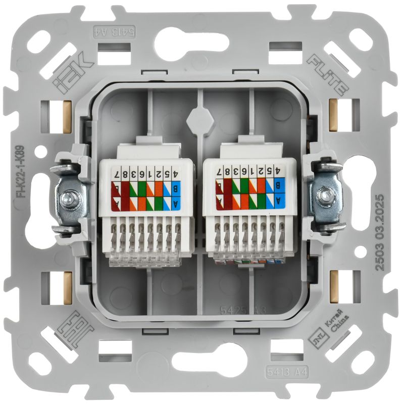 Розетка компьютерная 2-м СП FLITE РК5е-2-0-ФлШм RJ45 кат.5E UTP механизм шамуа IEK FI-K22-1-K89