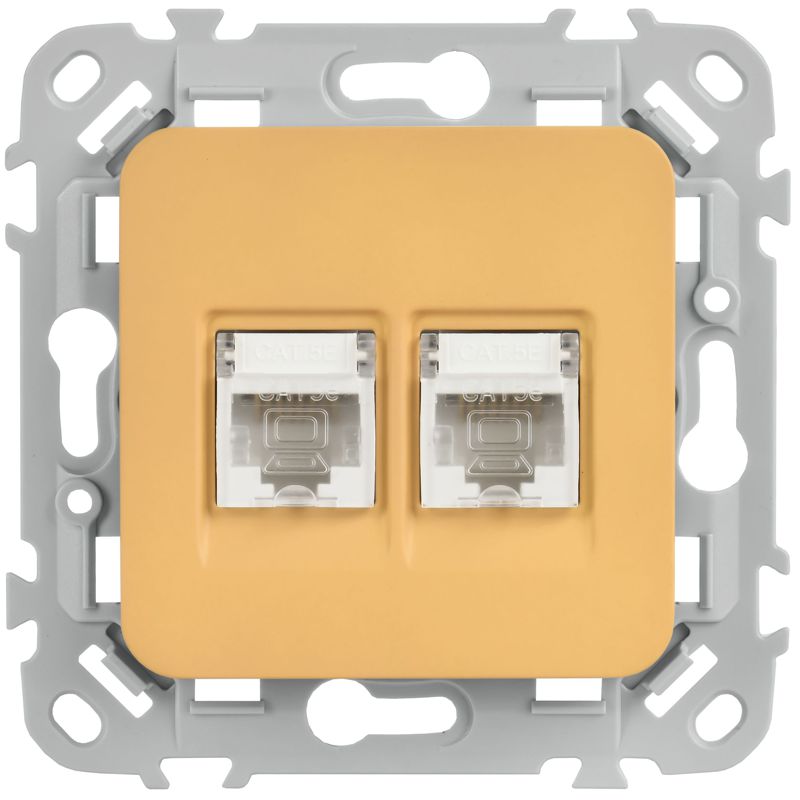 Розетка компьютерная 2-м СП FLITE РК5е-2-0-ФлШм RJ45 кат.5E UTP механизм шамуа IEK FI-K22-1-K89