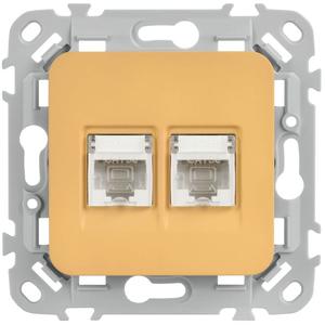 Розетка компьютерная 2-м СП FLITE РК5е-2-0-ФлШм RJ45 кат.5E UTP механизм шамуа IEK FI-K22-1-K89