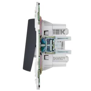Выключатель перекрестный 2-кл. SKANDY 10А SK-V06T титан IEK SK-V23-0-10-K48