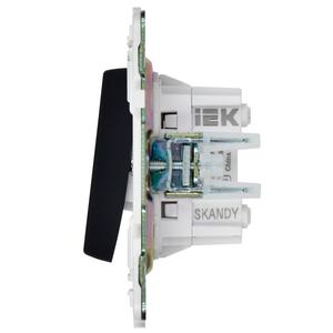 Выключатель перекрестный 2-кл. SKANDY 10А SK-V06G графит IEK SK-V23-0-10-K53
