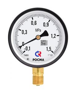 ТМ-210Р.00(0-40bar)M12x1,5.2,5