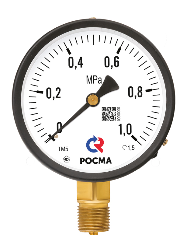 ТМВ-610Р.00(-0,1-0,3MPa)M20x1,5.1,5.IP54