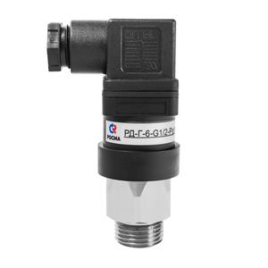 РД-Г-5-G1/4 наруж-24-Pg9-3-(0,5-2MPa)-ВВ